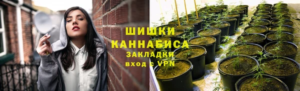 гашик Богородицк
